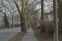 20260308_biketour_eberswalde_waldschenke_0010