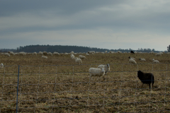 20260308_biketour_eberswalde_waldschenke_0025