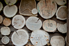 20260308_biketour_eberswalde_waldschenke_0051