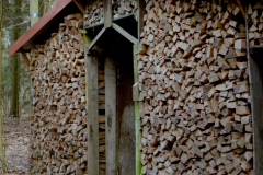 20260308_biketour_eberswalde_waldschenke_0073